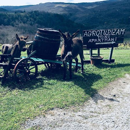 Agroturizam Toni Apartamento Motovun Exterior foto