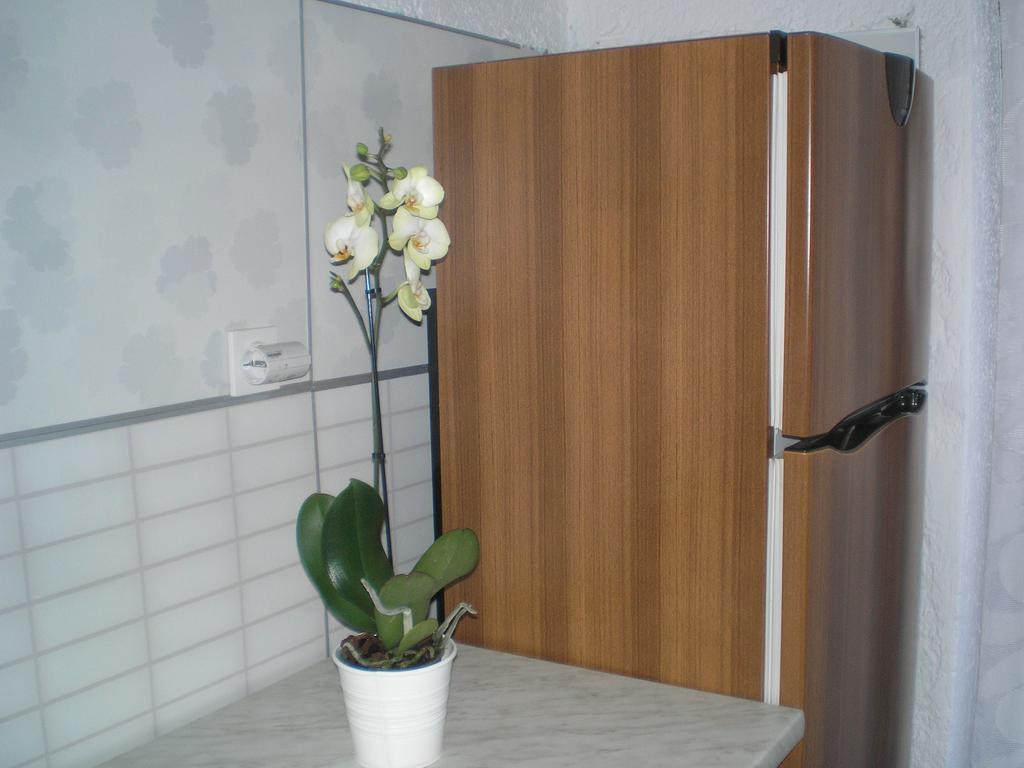 Agroturizam Toni Apartamento Motovun Exterior foto