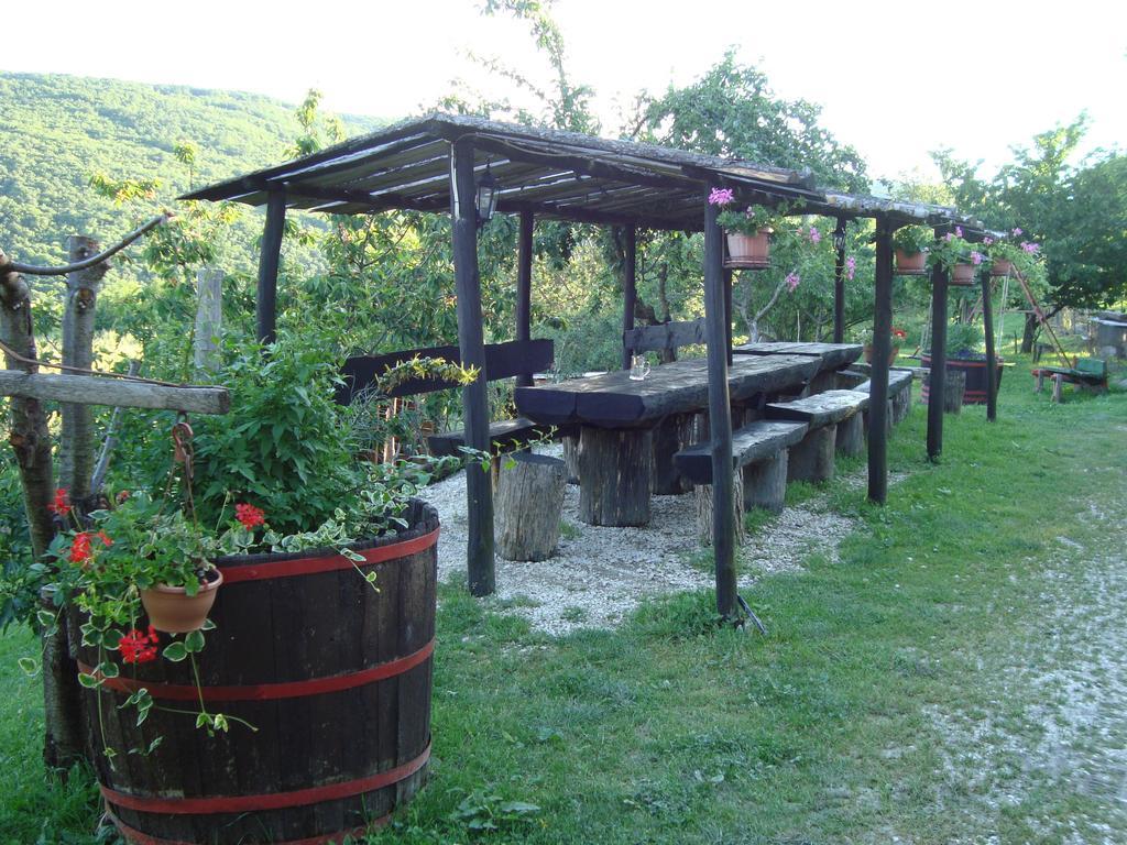 Agroturizam Toni Apartamento Motovun Quarto foto