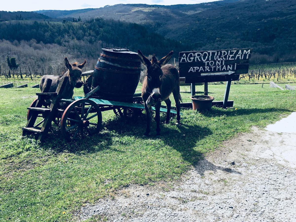 Agroturizam Toni Apartamento Motovun Exterior foto