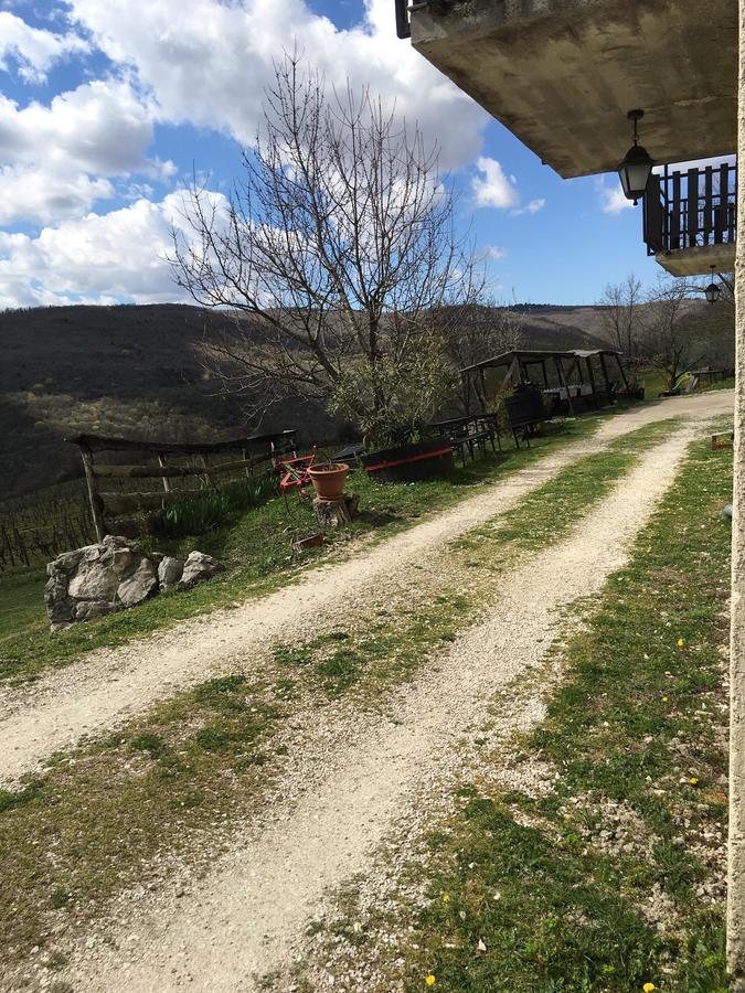 Agroturizam Toni Apartamento Motovun Exterior foto